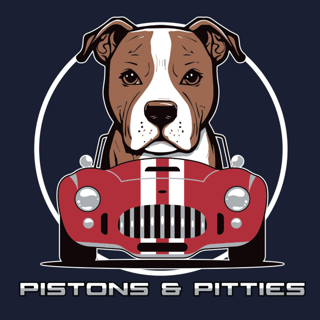 PRE-ORDER: 2024 Pistons & Pitties T-Shirt