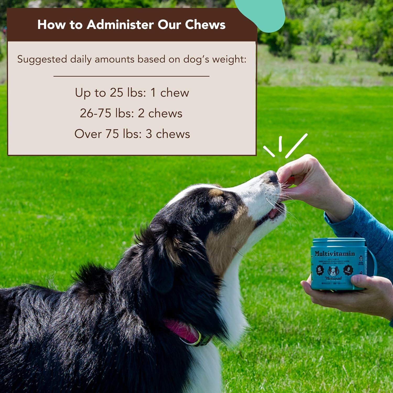 Multivitamin Supplement Chews